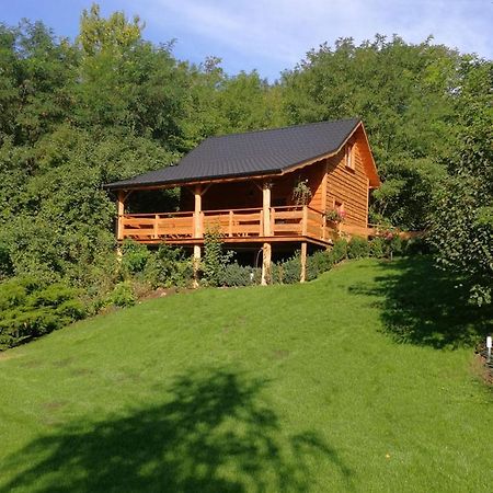 Villa Eden Ślesin Zewnętrze zdjęcie