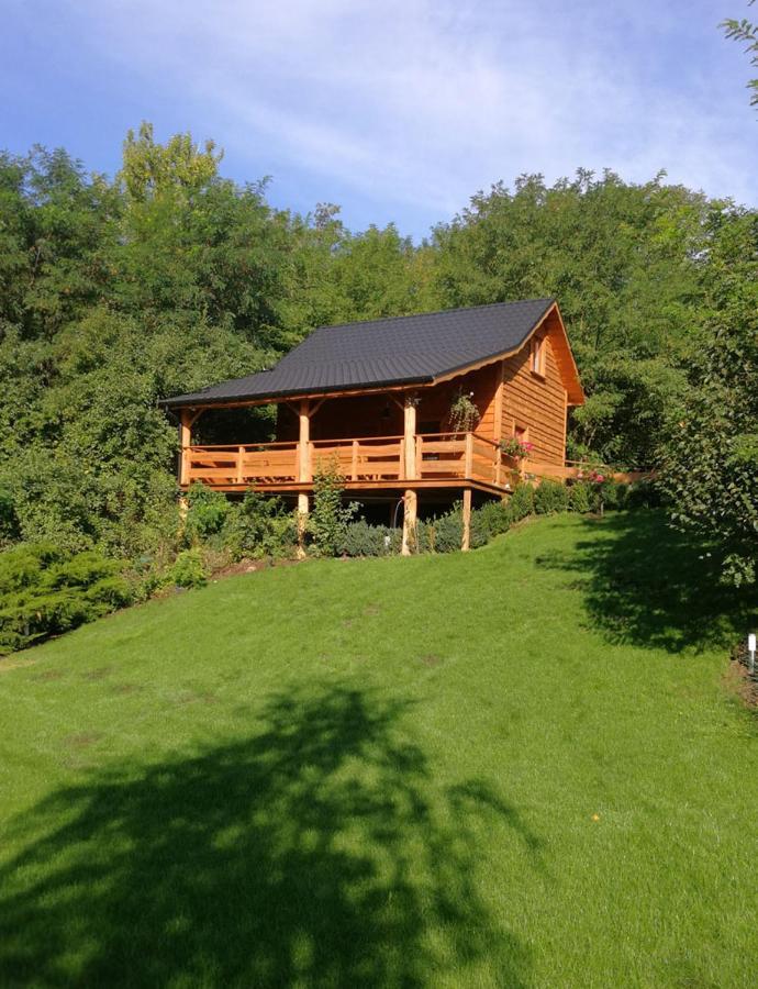 Villa Eden Ślesin Zewnętrze zdjęcie