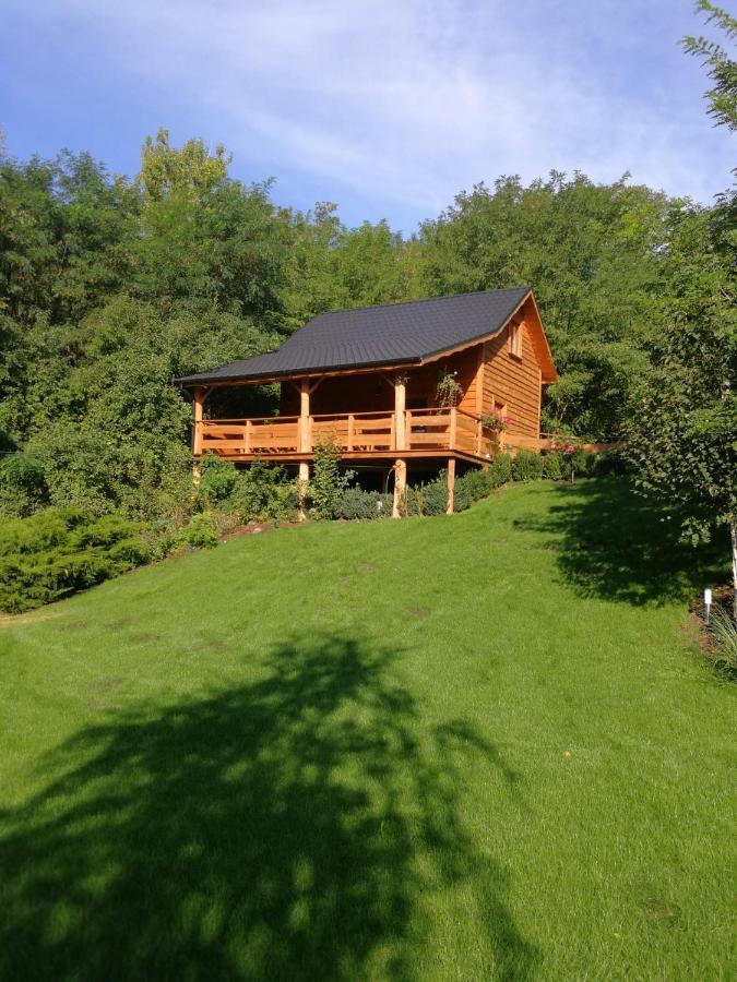 Villa Eden Ślesin Zewnętrze zdjęcie