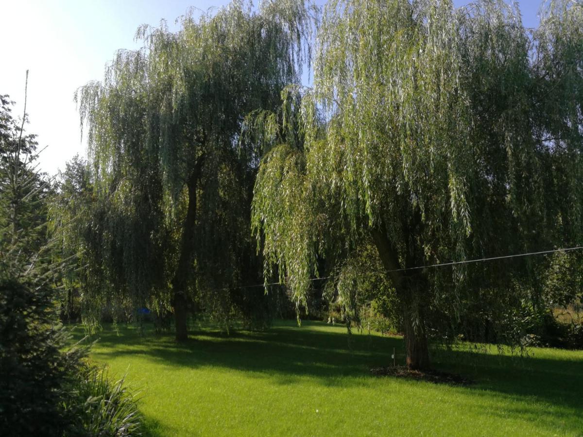 Villa Eden Ślesin Zewnętrze zdjęcie